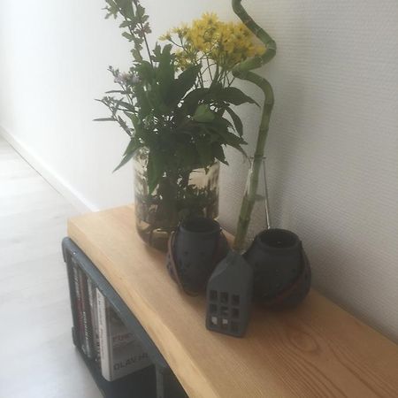 HojeneSkovlunds住宿加早餐旅馆 外观 照片