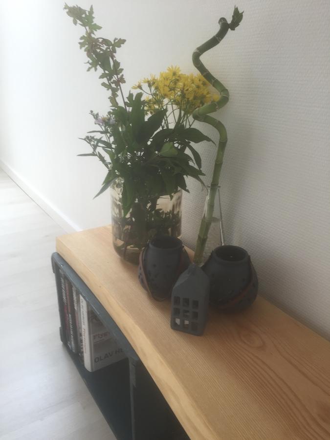HojeneSkovlunds住宿加早餐旅馆 外观 照片