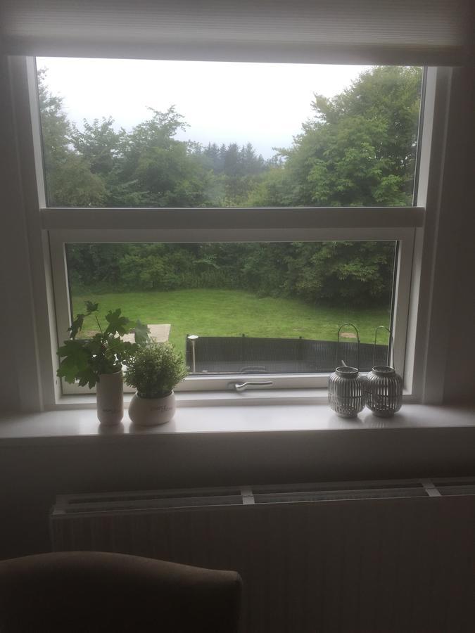 HojeneSkovlunds住宿加早餐旅馆 外观 照片